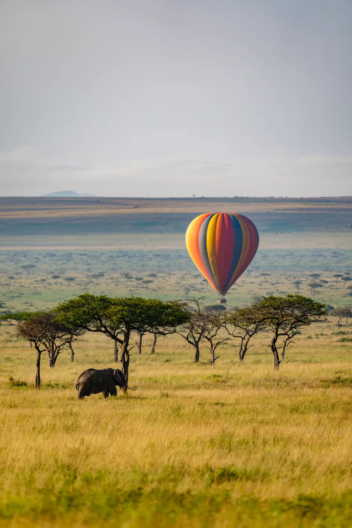 A hot air balloon at sunrise over the Maasai Mara.