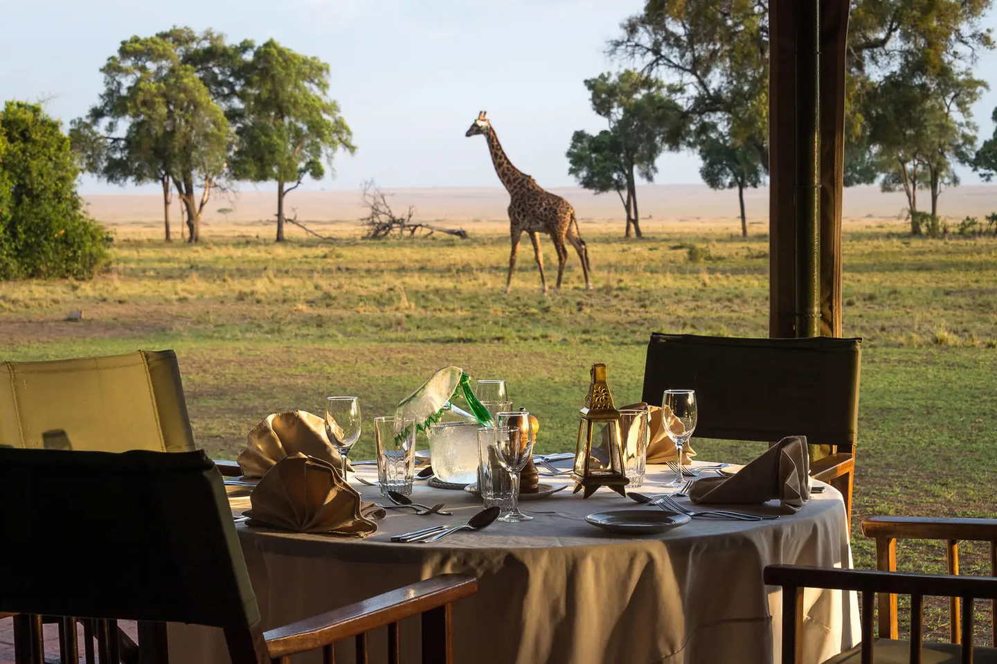 A dining table on the plains, giraffe walking past.