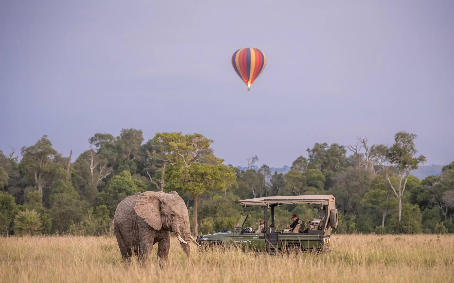 An elephant with a hot air balloon and game vehicle behind.