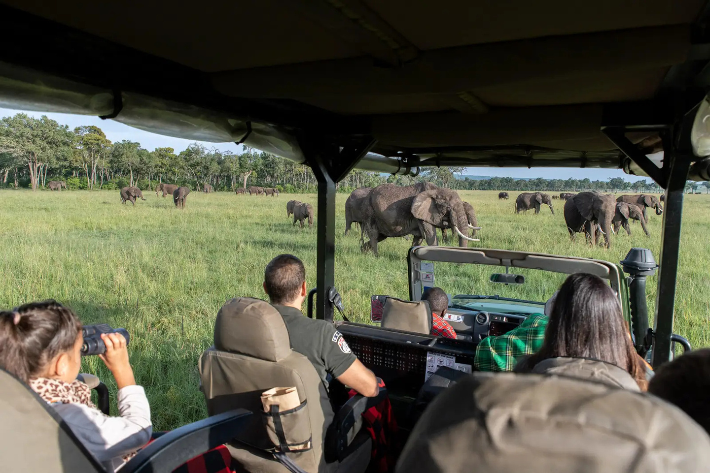 Guests photographing elephants from a game-drive vehicle.