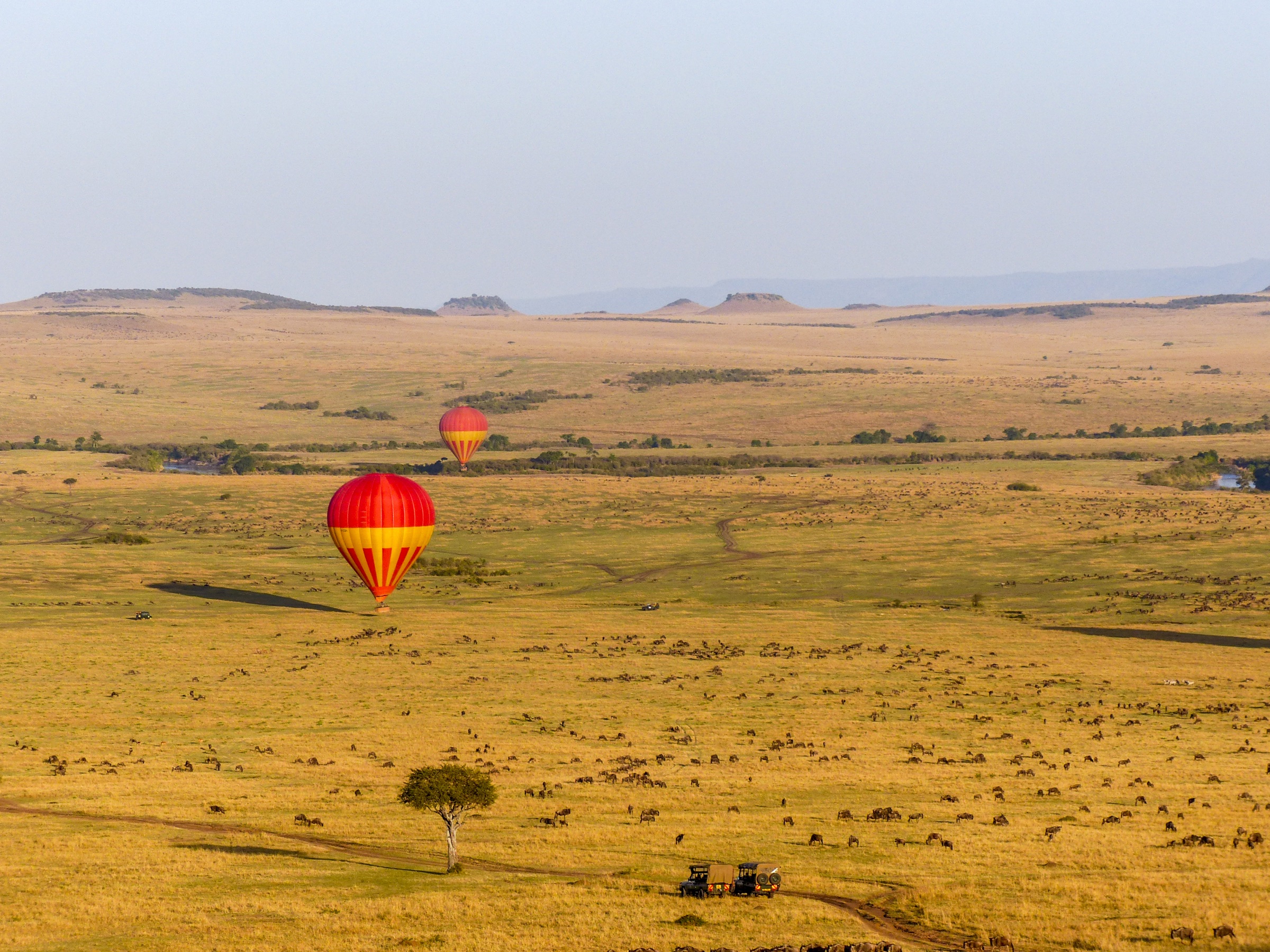 Hot-air balloons drifting over the Maasai Mara at sunrise.