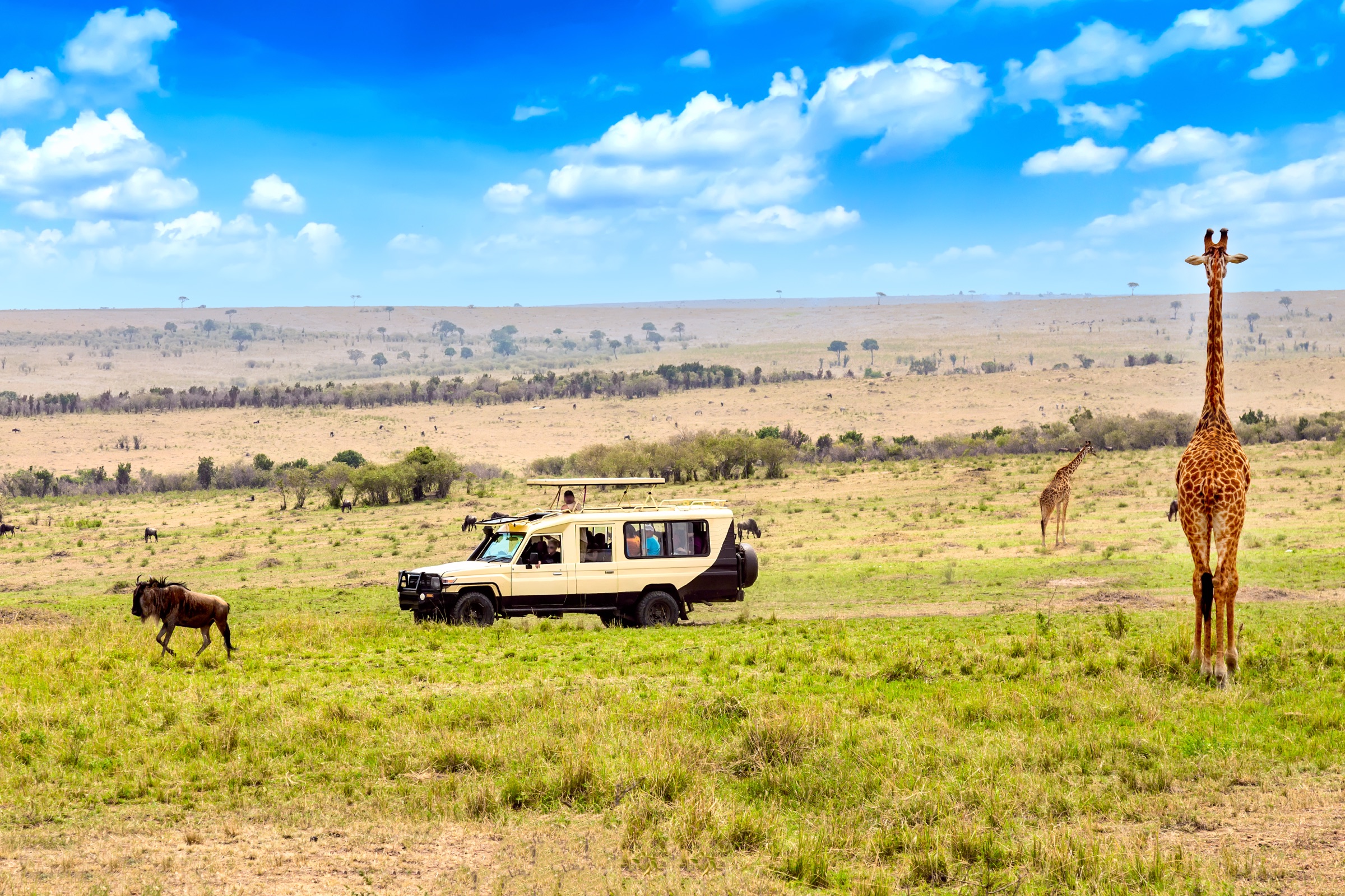 The open plains of the Maasai Mara stretching to the horizon.