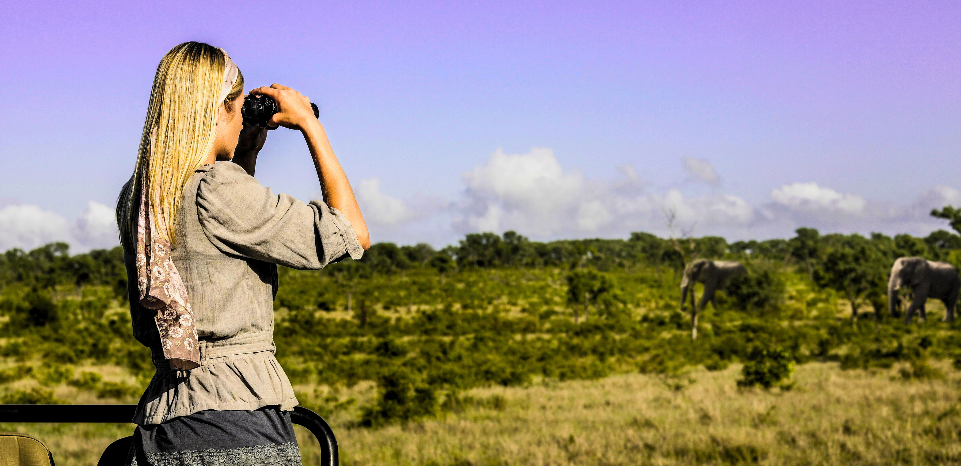 A traveller scans the bush with binoculars from an open game viewer, elephants in the distance.