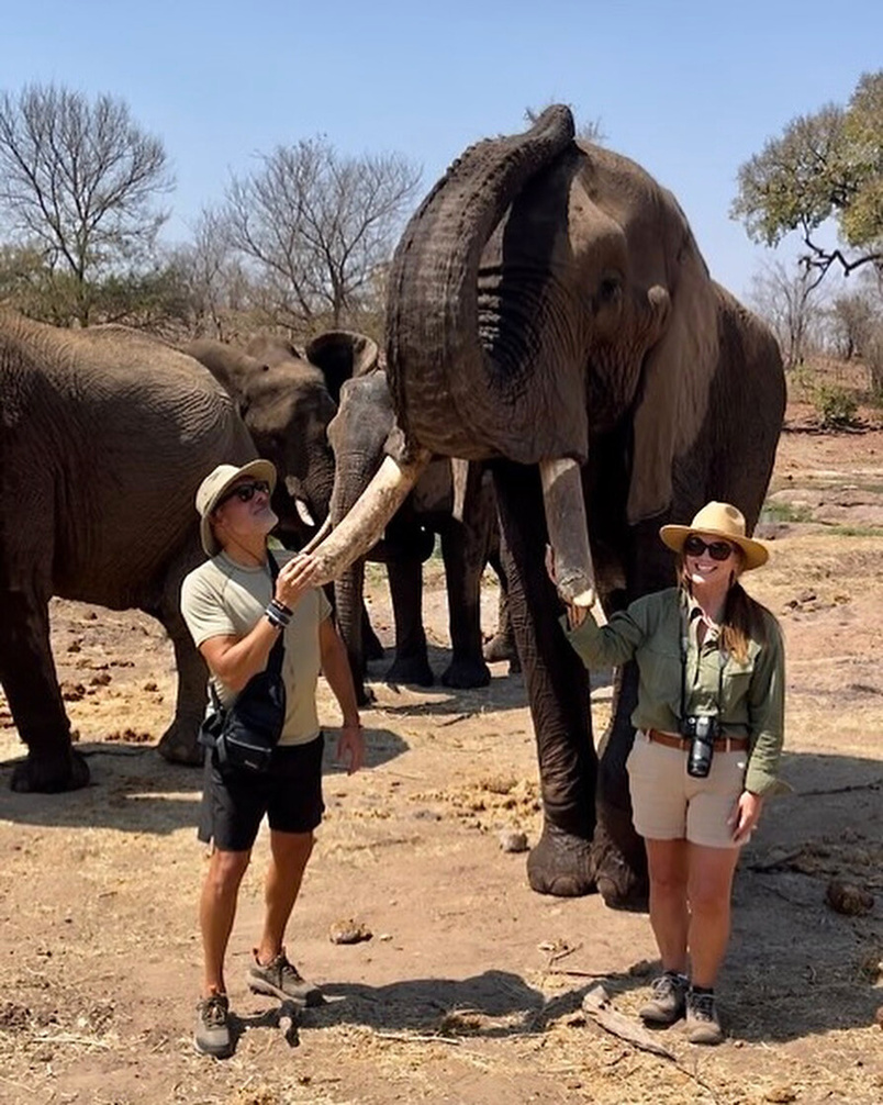 A safari lodge in Southern Africa.