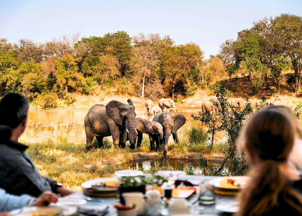 A moment of stillness at a Southern African camp.