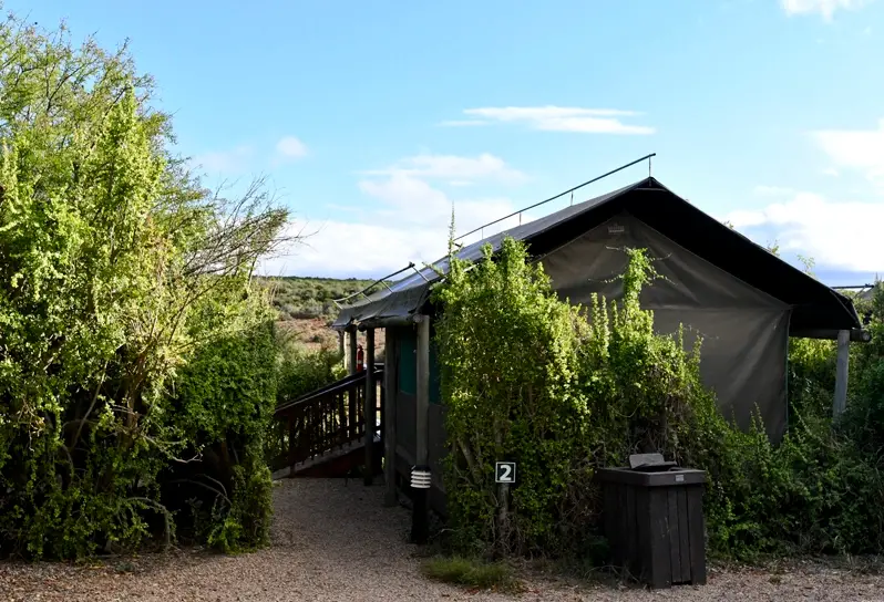 Addo Main Camp, Addo Elephant National Park
