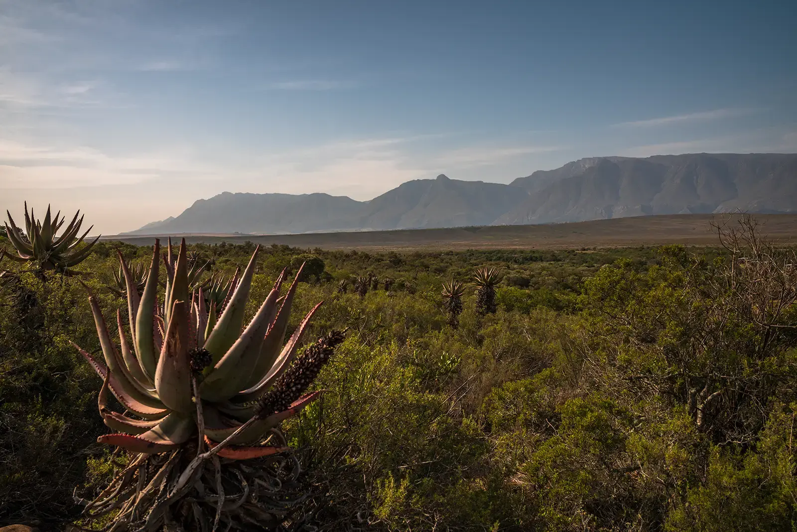 Bontebok National park - Lang Elsies Kraal Rest Camp