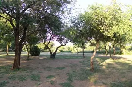 Crocodile Bridge Rest Camp, Kruger National Park