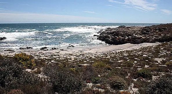 Groenrivier Coastal Rest Camp, Namaqua National Park