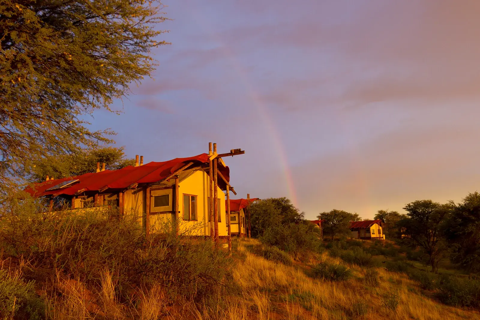 Kalahari Tented Camp