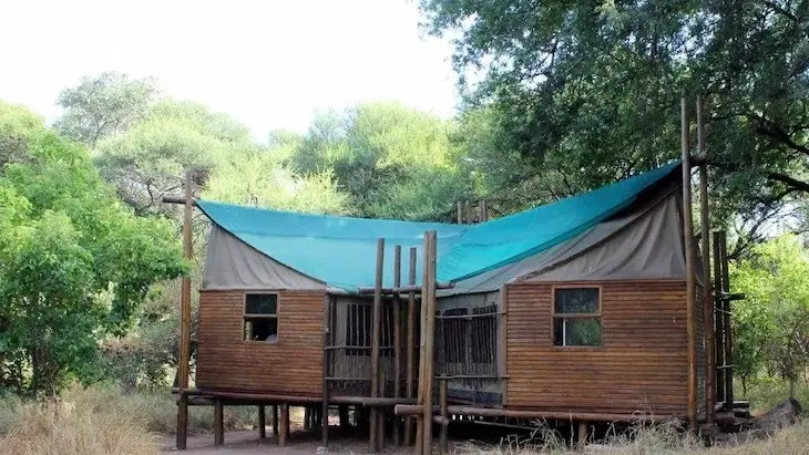 Limpopo Forest Tented Camp, Mapungubwe National Park