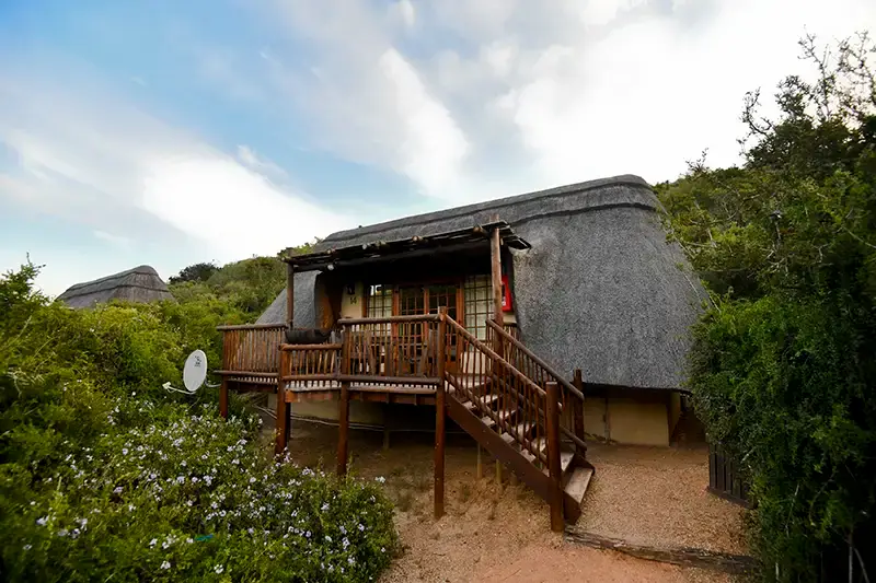 Mathyholweni Rest Camp, Addo Elephant National Park