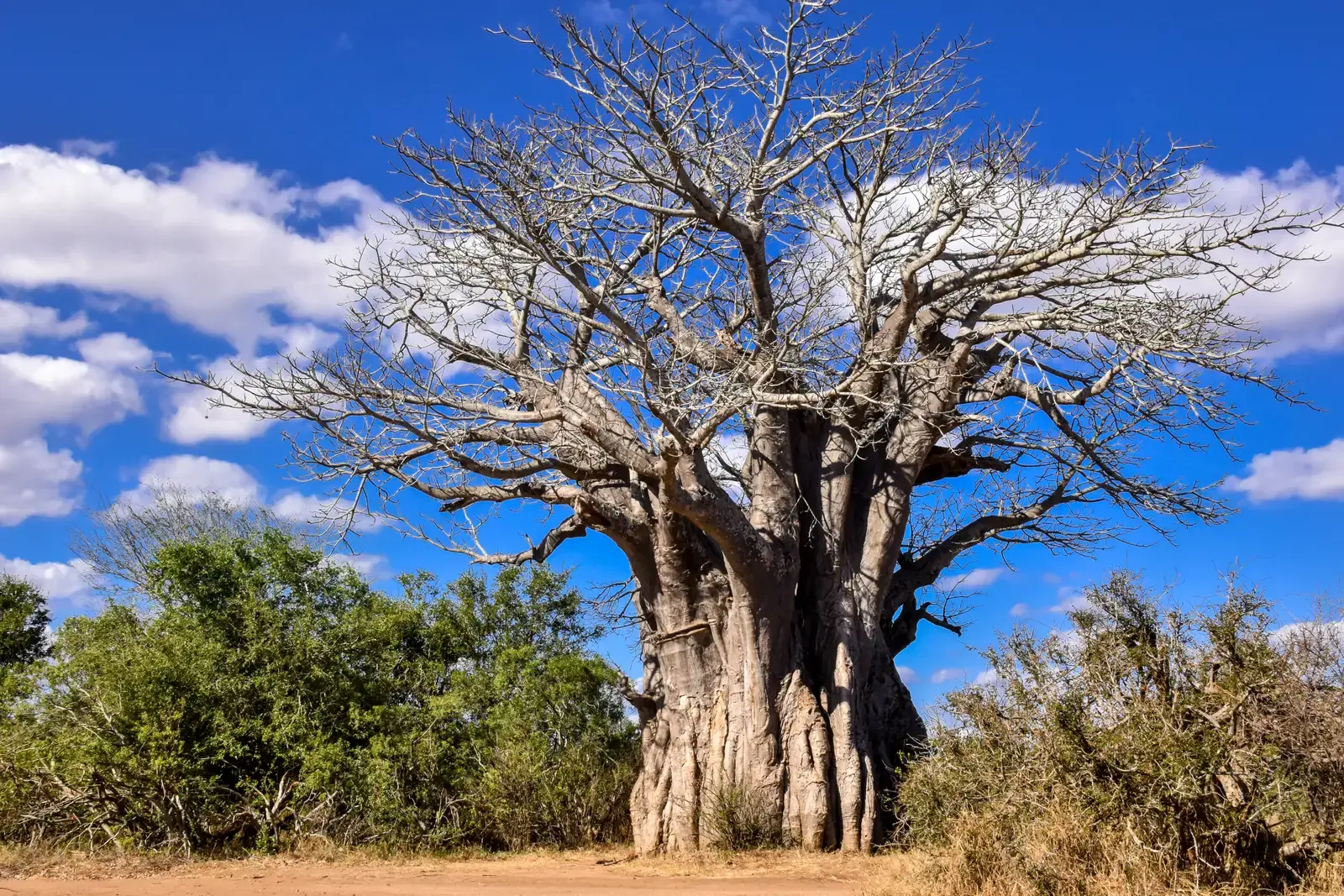 Shimuwini Bushveld Camp