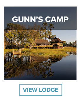 gunn's camp river view