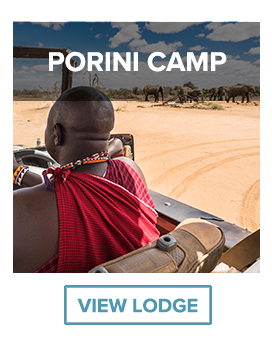 porini lion camp
