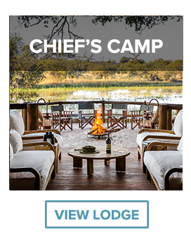chief's camp firepit