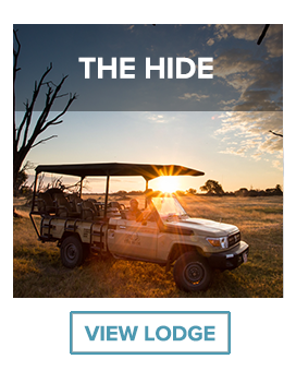 game drive the hide hwange