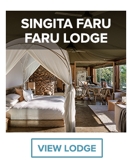 Singita faru faru lodge