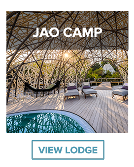 jao camp pool botswana