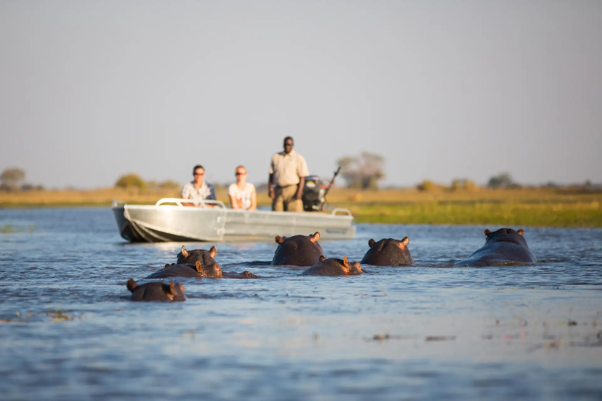 Busanga Safari Bush Camp - safari lodge in Kafue National Park