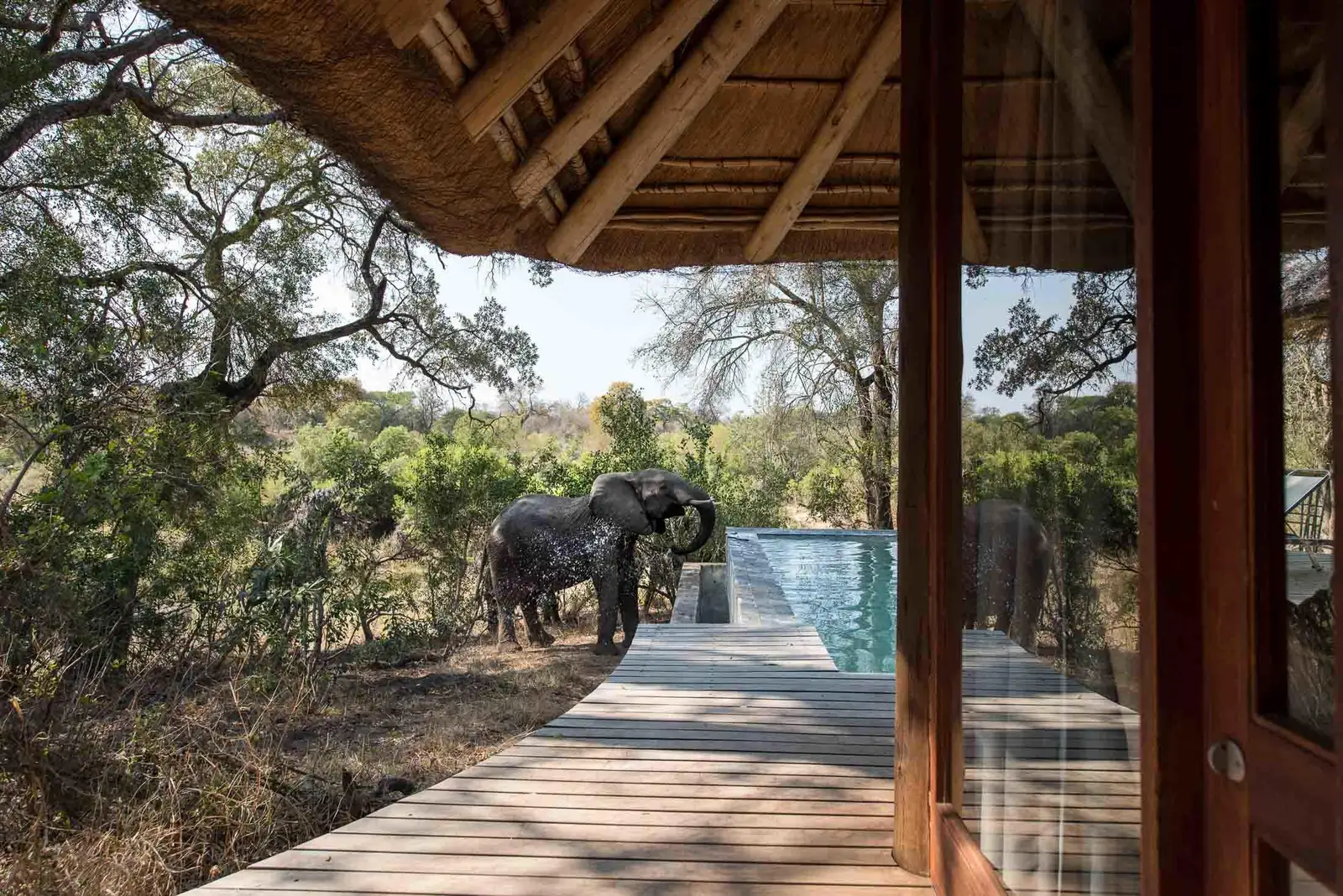 Dulini Leadwood Lodge